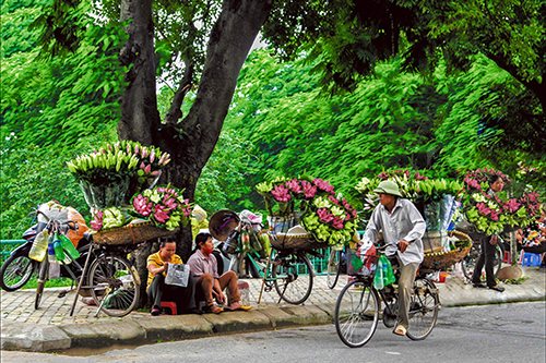 Hoa trên phố. Ảnh: Nguyễn Đông